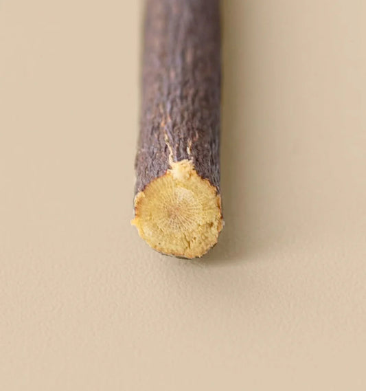 Premium Natur-Zahnbürste Olivenholz Siwak natürlich antibakteriell