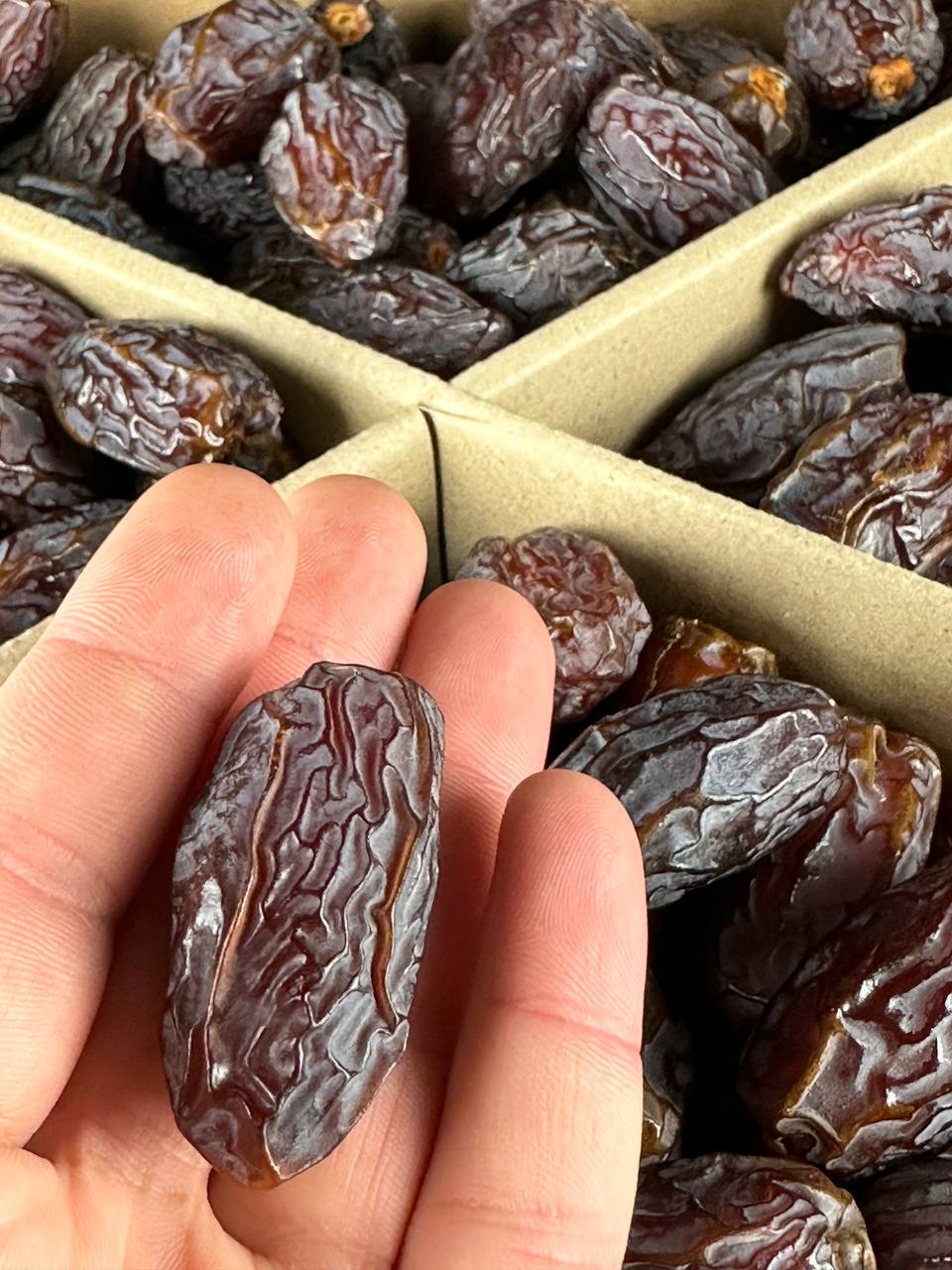 Medjoul-Datteln aus Palästina – Extra groß, saftig & natürlich süß - 5kg